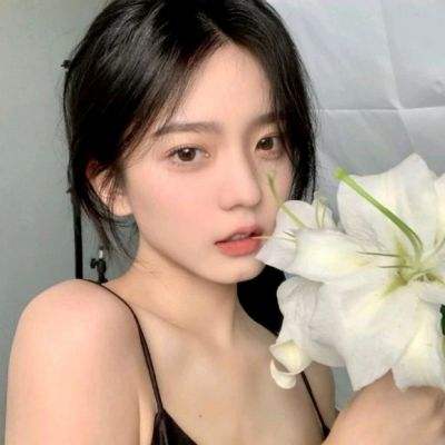 烽鼎江山破解版下载
